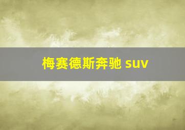 梅赛德斯奔驰 suv